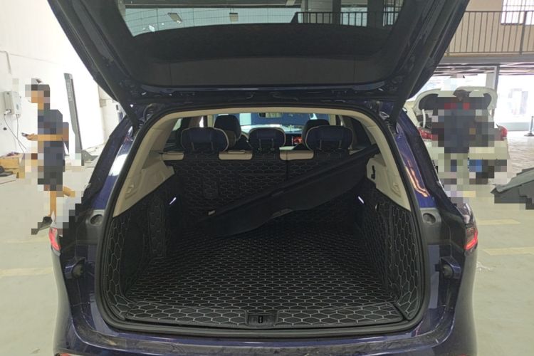 Used VOYAH FREE 2021 Two-Wheel Drive Standard Pure Electric City Edition Trunk