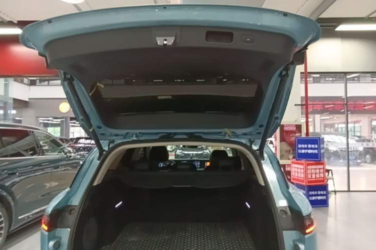 Used VOYAH FREE 2021 Two-Wheel Drive Standard Pure Electric City Edition Trunk