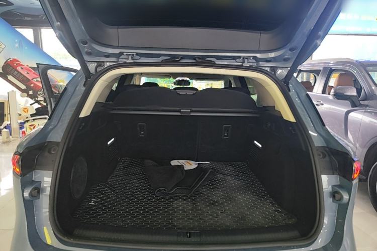 Used VOYAH FREE 2021 Two-Wheel Drive Standard Pure Electric City Edition Trunk