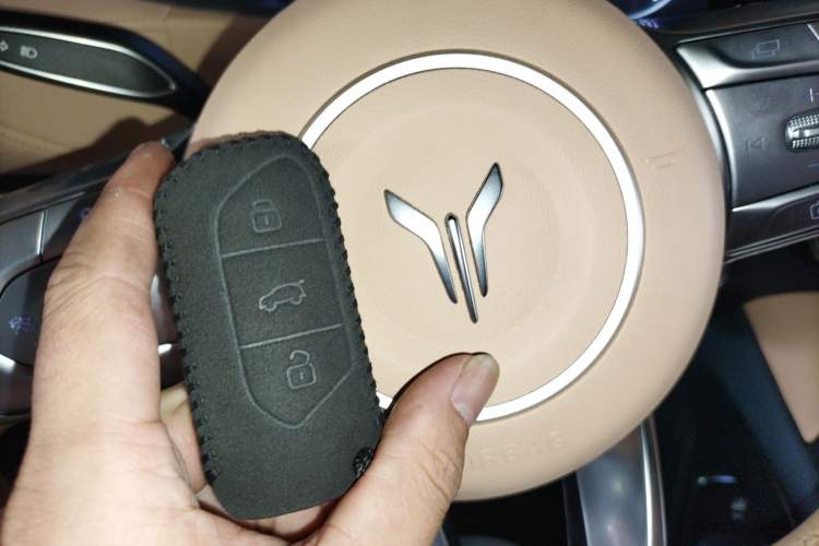 Used VOYAH FREE 2021 Two-Wheel Drive Standard Pure Electric City Edition Vehicle Key