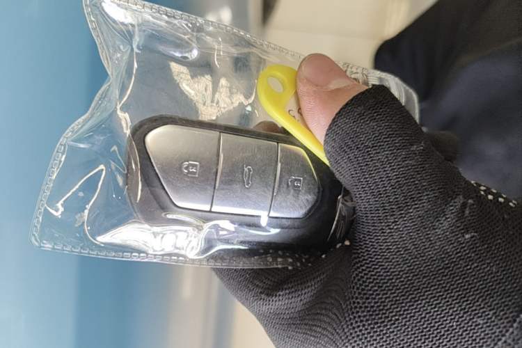 Used VOYAH FREE 2021 Four-Wheel Drive Standard Range-Extended Version Vehicle Key