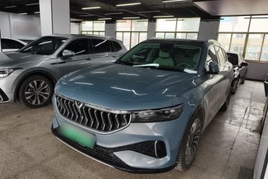 Used VOYAH FREE 2021 Four-Wheel Drive Standard Range-Extended Exclusive Luxury Package