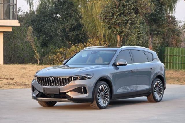 Used VOYAH FREE 2021 Four-Wheel Drive All-Electric First Edition Commemorative Edition Exclusive Luxury Package