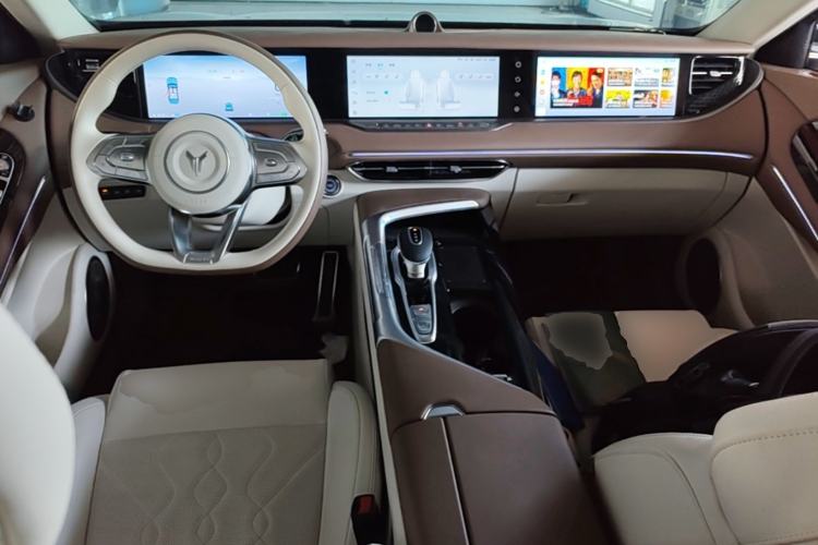 Used VOYAH FREE 2021 Four-Wheel Drive Standard Range-Extended Exclusive Luxury Package Center Console