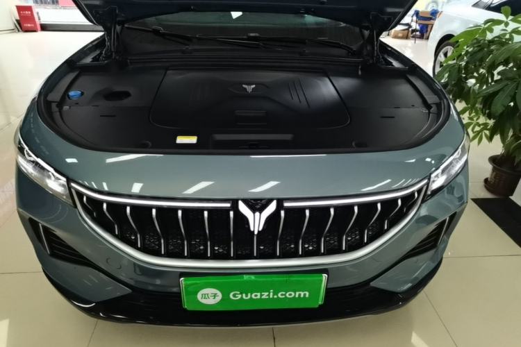 Used VOYAH FREE 2021 Four-Wheel Drive Standard All-Electric Exclusive Luxury Package Engine Bay