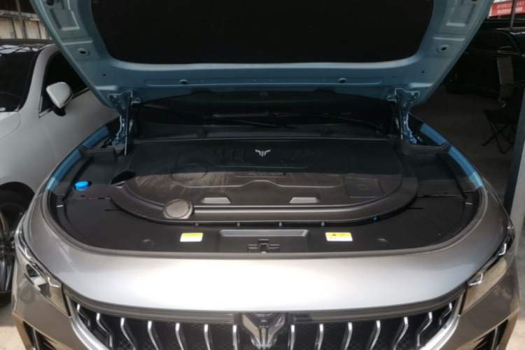 Used VOYAH FREE 2021 Four-Wheel Drive Standard Range-Extended Version Engine Bay