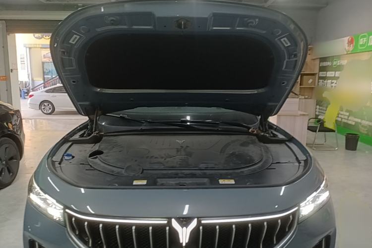 Used VOYAH FREE 2021 Four-Wheel Drive Standard Range-Extended Exclusive Luxury Package Engine Bay