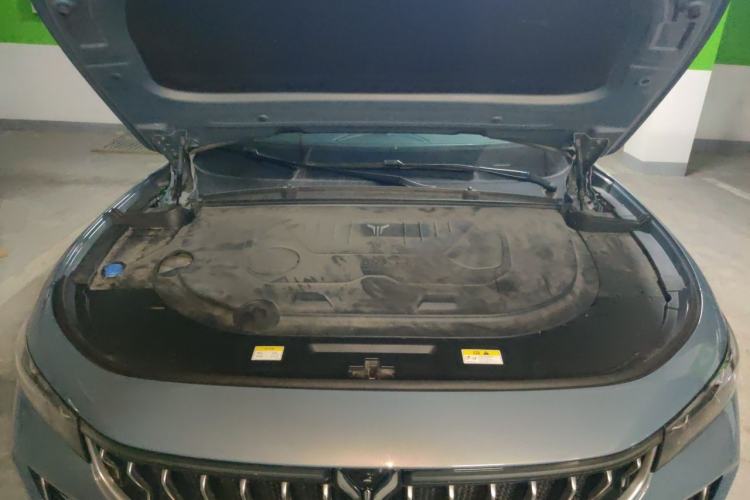 Used VOYAH FREE 2021 Four-Wheel Drive Standard Range-Extended Exclusive Luxury Package Engine Bay