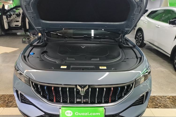 Used VOYAH FREE 2021 Four-Wheel Drive Standard Range-Extended Exclusive Luxury Package Engine Bay