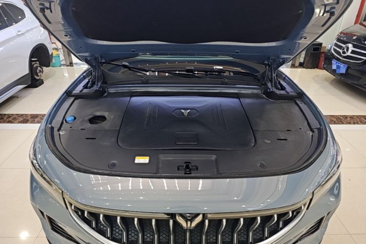 Used VOYAH FREE 2021 Four-Wheel Drive Standard All-Electric Exclusive Luxury Package Engine Bay