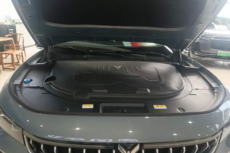 Used VOYAH FREE 2021 Four-Wheel Drive Standard Range-Extended Exclusive Luxury Package Engine Bay