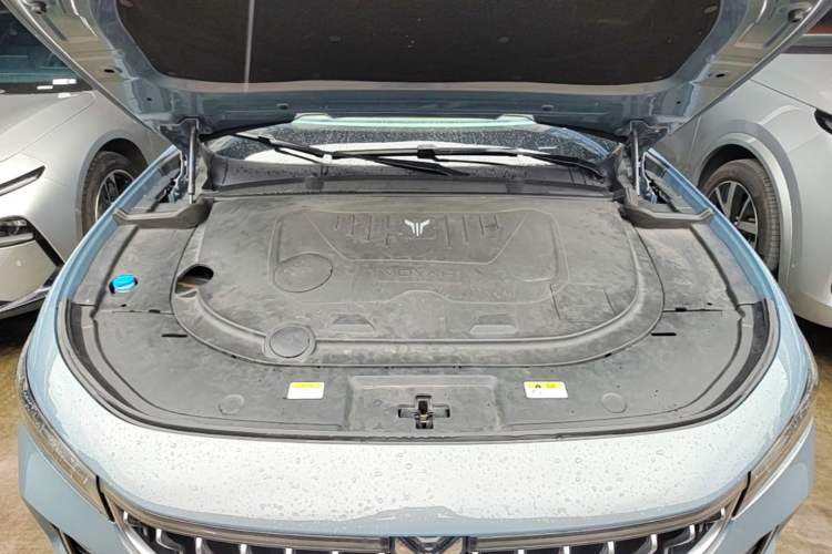Used VOYAH FREE 2021 Four-Wheel Drive Standard Range-Extended Exclusive Luxury Package Engine Bay