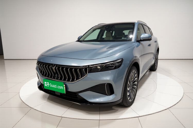 Used VOYAH FREE 2021 Four-Wheel Drive Standard Range-Extended Exclusive Luxury Package Exterior 1