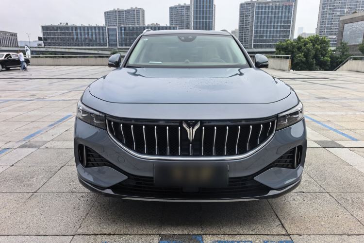 Used VOYAH FREE 2021 Four-Wheel Drive Standard Range-Extended Exclusive Luxury Package Exterior 1