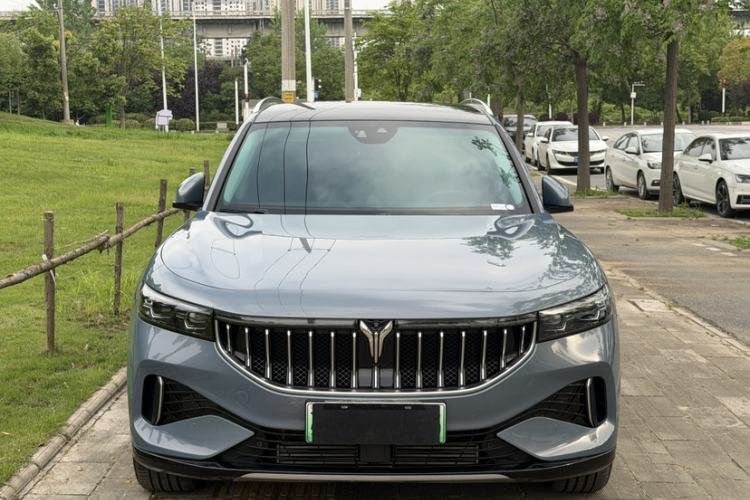 Used VOYAH FREE 2021 Four-Wheel Drive Standard Range-Extended Exclusive Luxury Package Exterior 2