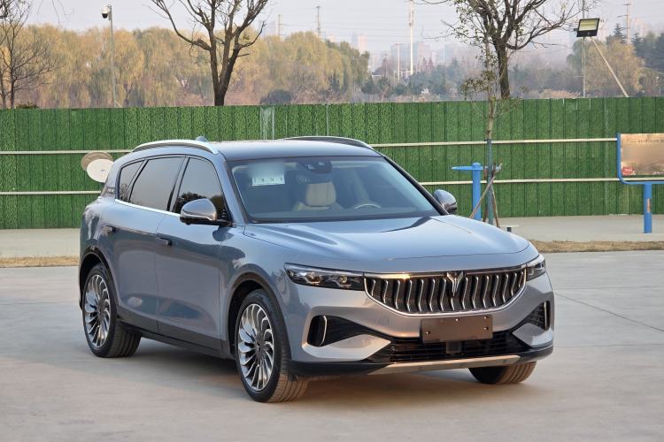 Used VOYAH FREE 2021 Four-Wheel Drive All-Electric First Edition Commemorative Edition Exclusive Luxury Package Exterior 3
