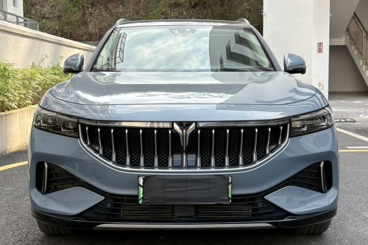 Used VOYAH FREE 2021 Four-Wheel Drive Standard Range-Extended Exclusive Luxury Package Exterior 8