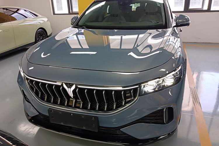 Used VOYAH FREE 2021 Four-Wheel Drive Standard Range-Extended Exclusive Luxury Package Front