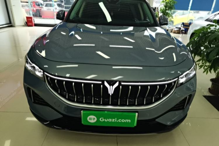 Used VOYAH FREE 2021 Four-Wheel Drive Standard All-Electric Exclusive Luxury Package Front