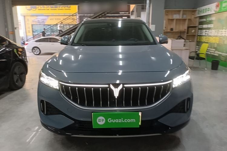 Used VOYAH FREE 2021 Four-Wheel Drive Standard Range-Extended Exclusive Luxury Package Front