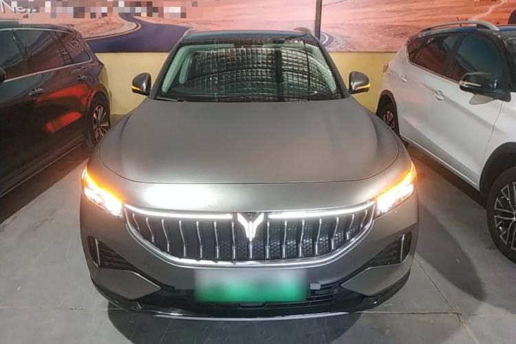 Used VOYAH FREE 2021 Four-Wheel Drive All-Electric First Edition Commemorative Edition Exclusive Luxury Package Front