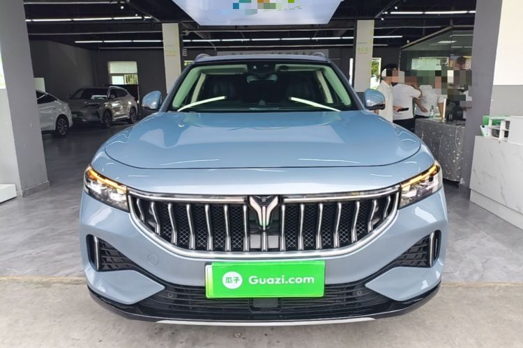 Used VOYAH FREE 2021 Four-Wheel Drive Standard Range-Extended Exclusive Luxury Package Front