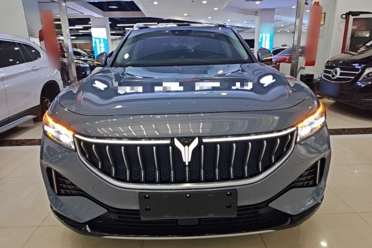Used VOYAH FREE 2021 Four-Wheel Drive Standard All-Electric Exclusive Luxury Package Front