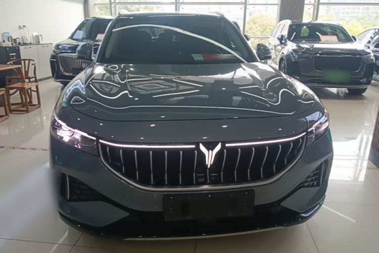 Used VOYAH FREE 2021 Four-Wheel Drive Standard Range-Extended Exclusive Luxury Package Front