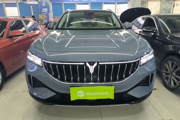 Used VOYAH FREE 2021 Four-Wheel Drive Standard Range-Extended Exclusive Luxury Package Front