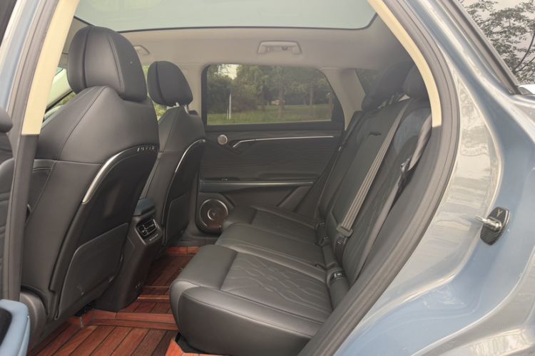 Used VOYAH FREE 2021 Four-Wheel Drive Standard Range-Extended Exclusive Luxury Package Interior 2