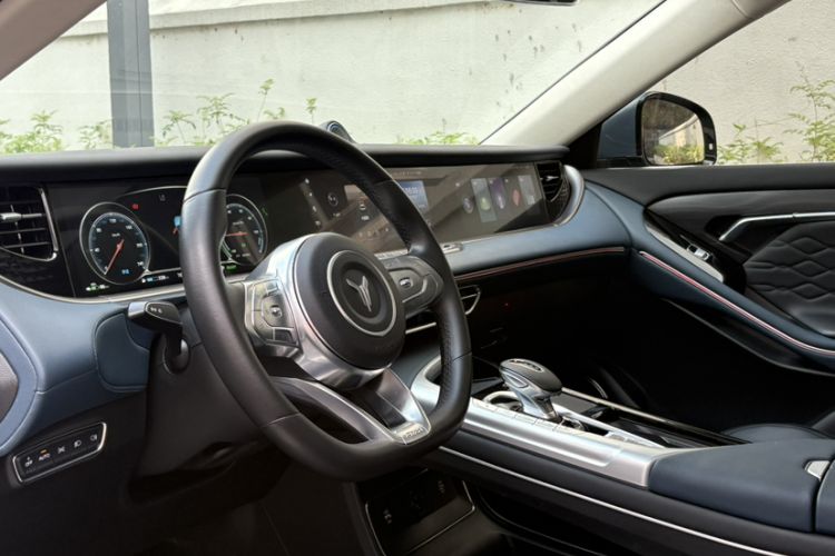 Used VOYAH FREE 2021 Four-Wheel Drive Standard Range-Extended Exclusive Luxury Package Interior 4