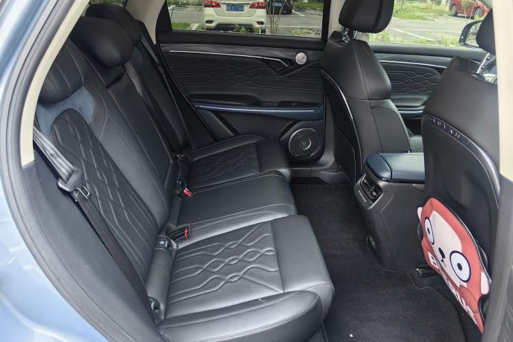 Used VOYAH FREE 2021 Four-Wheel Drive Standard Range-Extended Exclusive Luxury Package Interior 5