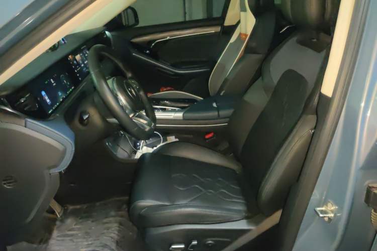 Used VOYAH FREE 2021 Four-Wheel Drive Standard Range-Extended Exclusive Luxury Package Left Front Seat