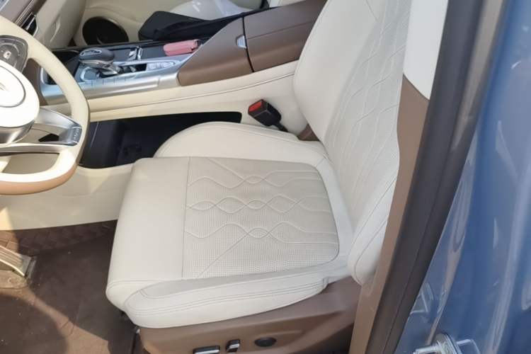 Used VOYAH FREE 2021 Four-Wheel Drive Standard Range-Extended Exclusive Luxury Package Left Front Seat