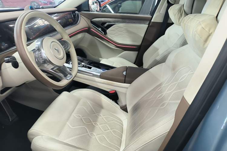 Used VOYAH FREE 2021 Four-Wheel Drive Standard Range-Extended Exclusive Luxury Package Left Front Seat