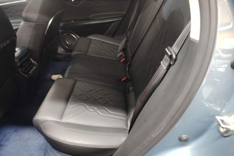 Used VOYAH FREE 2021 Four-Wheel Drive Standard Range-Extended Exclusive Luxury Package Left Rear Seat