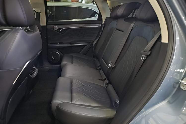 Used VOYAH FREE 2021 Four-Wheel Drive Standard All-Electric Exclusive Luxury Package Left Rear Seat