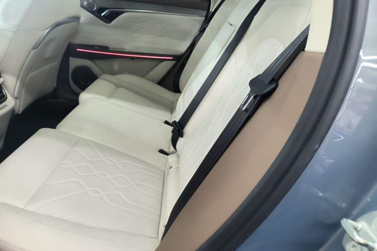 Used VOYAH FREE 2021 Four-Wheel Drive Standard Range-Extended Exclusive Luxury Package Left Rear Seat