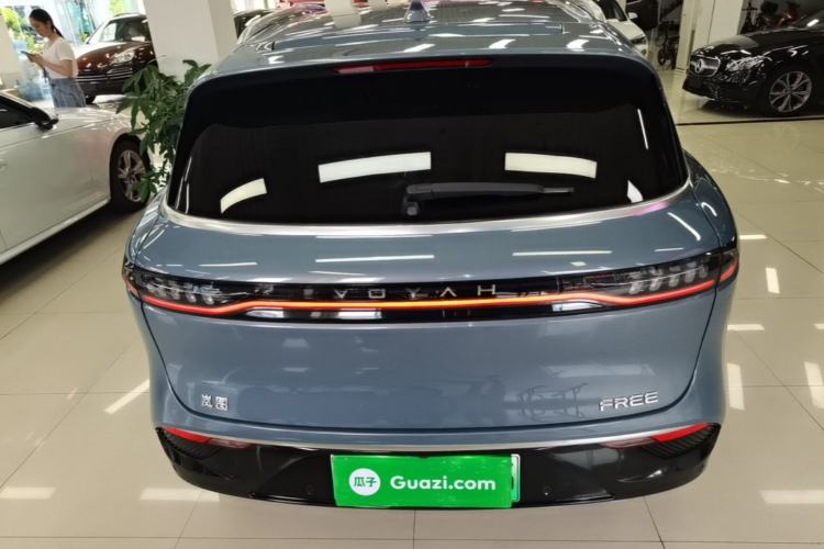 Used VOYAH FREE 2021 Four-Wheel Drive Standard All-Electric Exclusive Luxury Package Rear