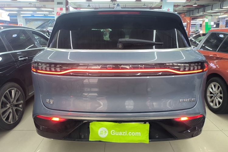 Used VOYAH FREE 2021 Four-Wheel Drive Standard Range-Extended Exclusive Luxury Package Rear