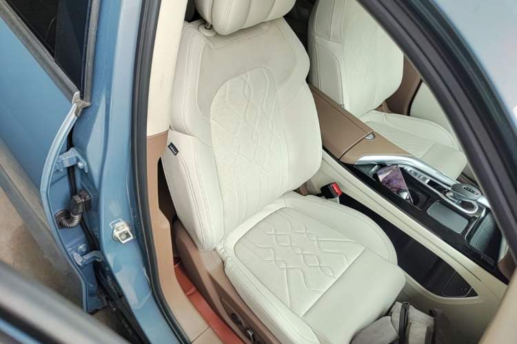 Used VOYAH FREE 2021 Four-Wheel Drive Standard Range-Extended Exclusive Luxury Package Right Front Seat