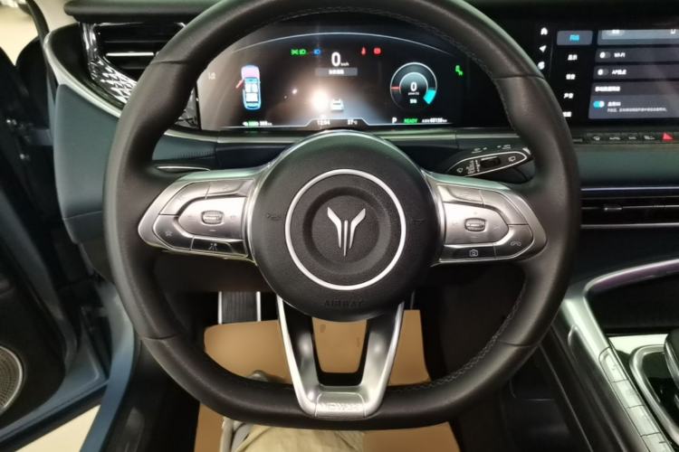 Used VOYAH FREE 2021 Four-Wheel Drive Standard All-Electric Exclusive Luxury Package Steering Wheel