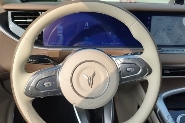 Used VOYAH FREE 2021 Four-Wheel Drive Standard Range-Extended Exclusive Luxury Package Steering Wheel
