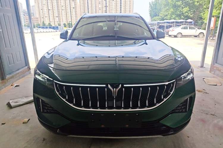 Used VOYAH FREE 2021 Four-Wheel Drive Standard Range-Extended Exclusive Luxury Package Front