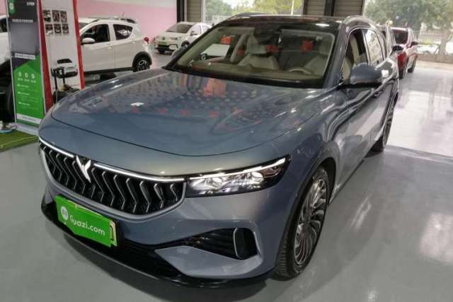 Used VOYAH FREE 2021 Four-Wheel Drive Standard Range-Extended Exclusive Luxury Package