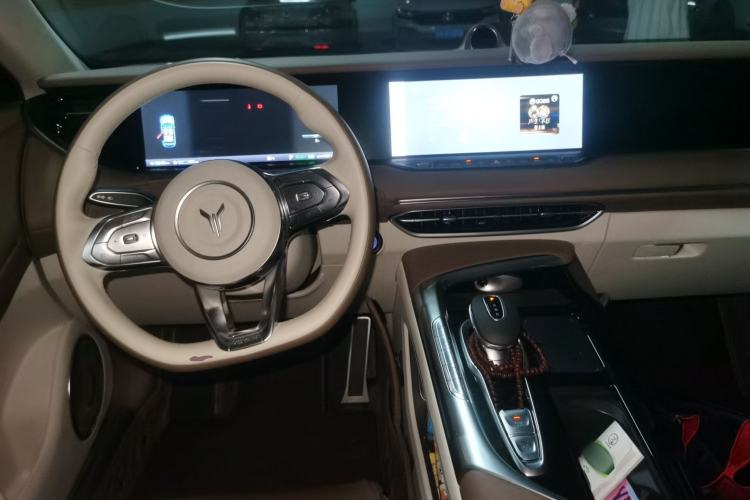 Used VOYAH FREE 2021 Four-Wheel Drive Standard Range-Extended Exclusive Luxury Package Center Console