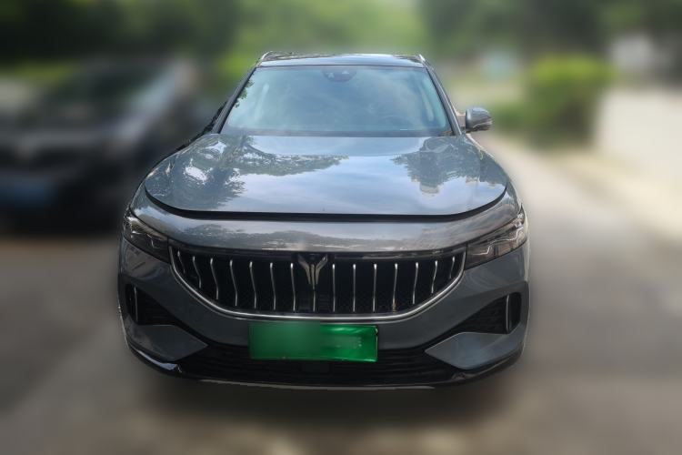 Used VOYAH FREE 2021 Four-Wheel Drive Standard Range-Extended Exclusive Luxury Package Exterior 1