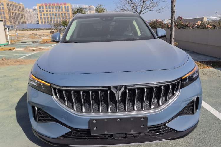 Used VOYAH FREE 2021 Four-Wheel Drive All-Electric First Edition Commemorative Edition Exclusive Luxury Package Exterior 1