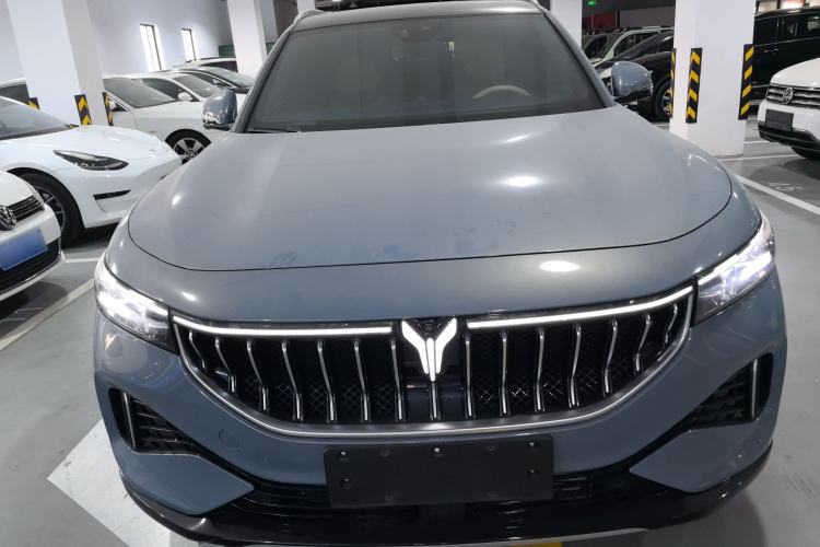 Used VOYAH FREE 2021 Four-Wheel Drive Standard Range-Extended Exclusive Luxury Package Front