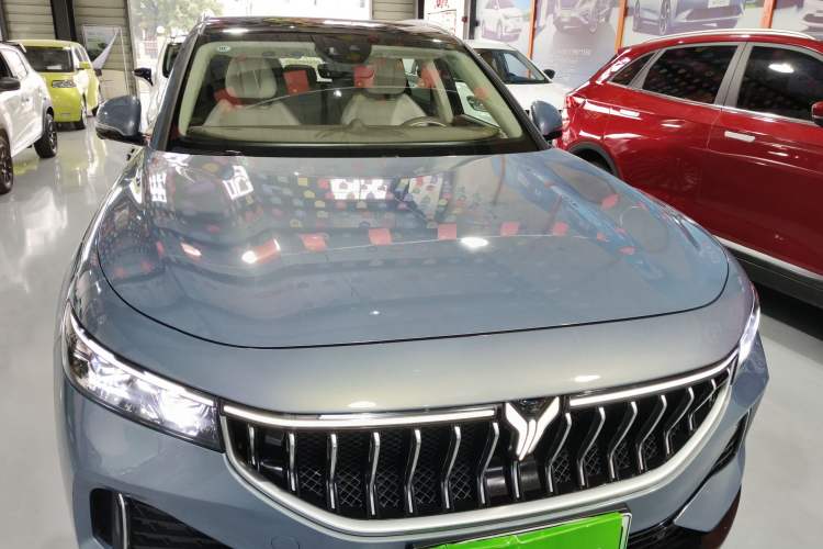 Used VOYAH FREE 2021 Four-Wheel Drive Standard Range-Extended Exclusive Luxury Package Front
